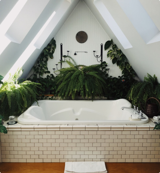 MS International LLC